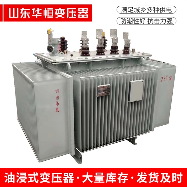 S13-10000/35广宗广宗广宗电力变压器厂家