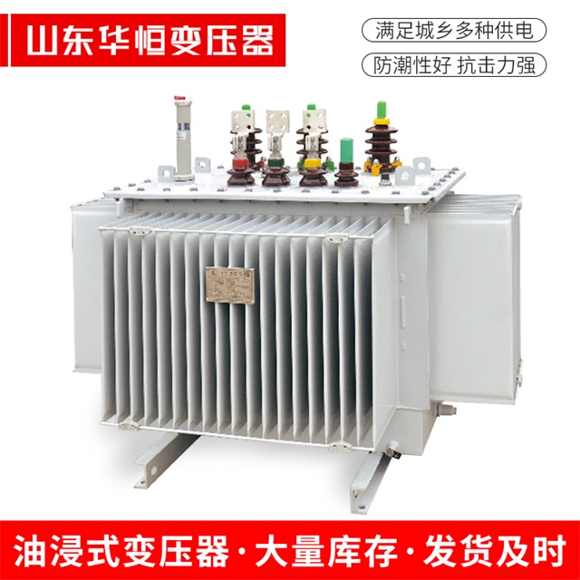 S13-10000/35广宗广宗广宗电力变压器